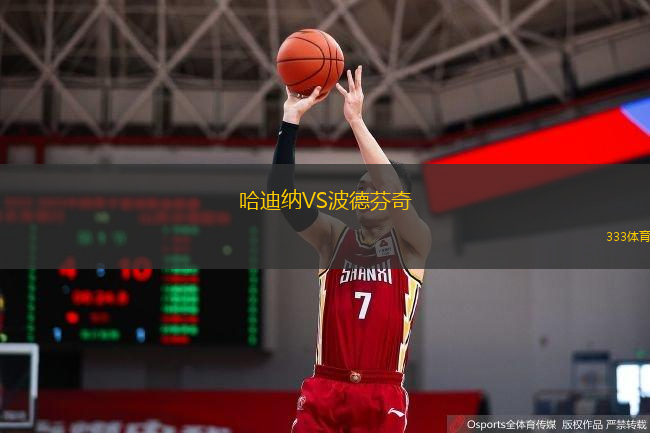 哈迪纳VS波德芬奇